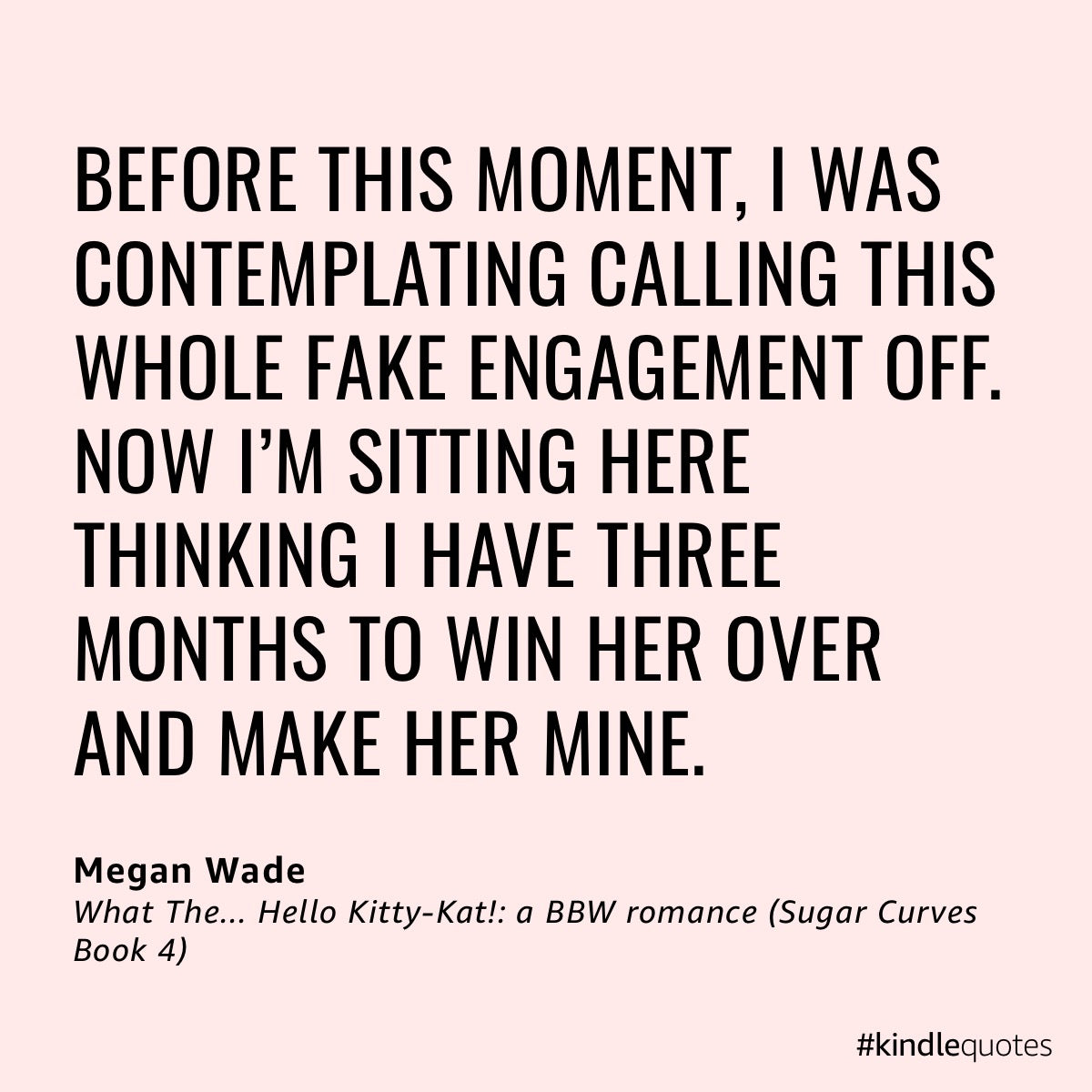 What The... Hello Kitty-Kat!: a BBW Romance (Sugar Curves Book 4) AUDIOBOOK