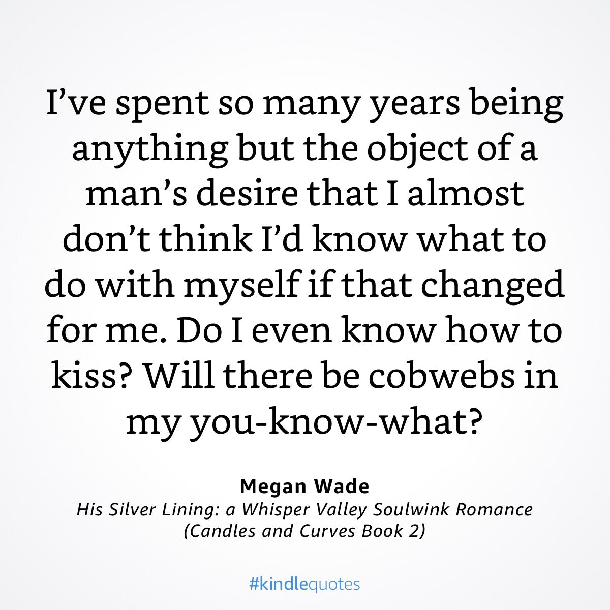 Text quote from Megan Wade's book 'His Silver Lining' on a white background